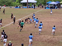 IMG_8652