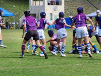 ●Rugby12