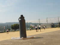 IMGP0613