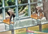 Graphite_2026-06-15_13-31-51