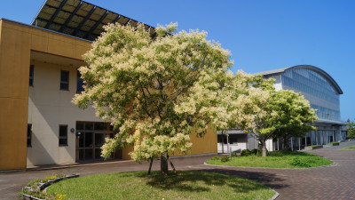 DSC00302