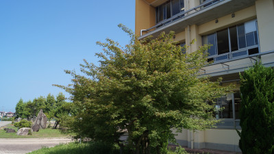 DSC00313