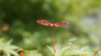 DSC00312