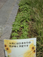 CIMG0823