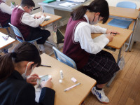 DSCF7252