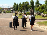 IMGP0031