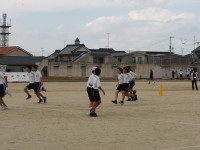 IMGP0224