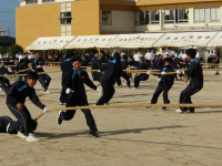 IMGP0015
