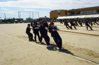 DSC01252