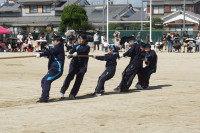 DSC01254