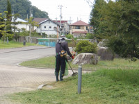 IMGP0408