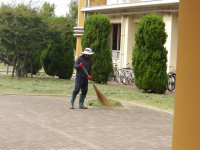 IMGP0409