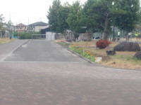 IMGP1152