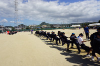 DSC04519
